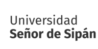 LOGO USS-VRI_3-01